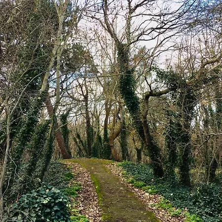 Einstein Apartment *