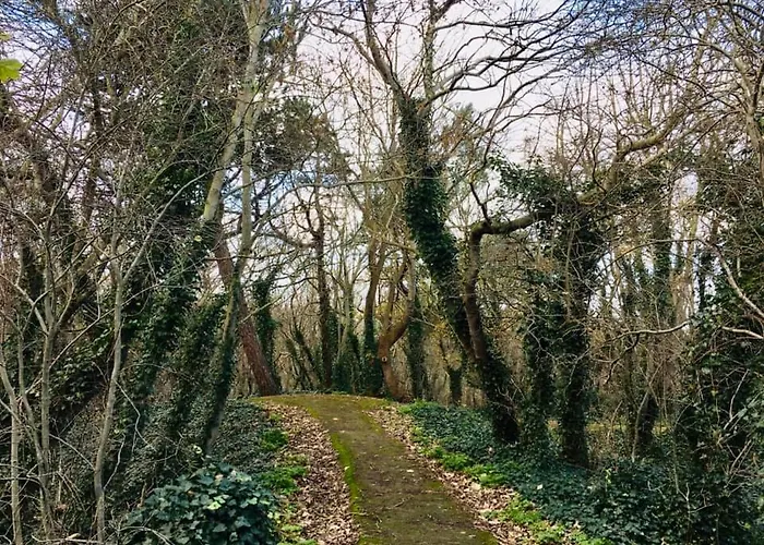 Einstein Апартаменты *